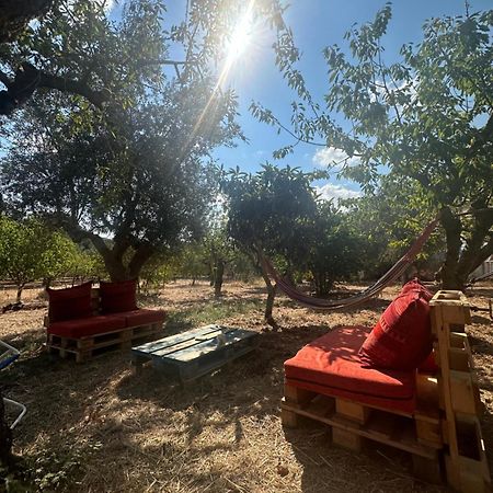 B&B Villa Tiziana Monopoli Zewnętrze zdjęcie